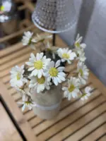 شاخه بابونه وارداتی - Image 2